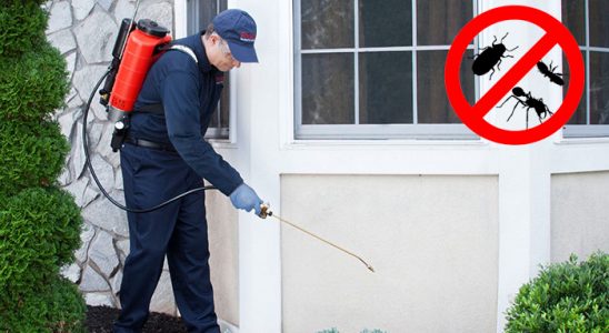 Mezitli Gümüşkurt İlaçlama böcek ilaçlama ve haşere kontrolü — ilaclama-tr.com